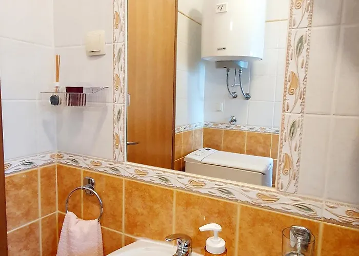 招待所 Diana Gabonjin